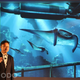 Image for article titled Hands On: Sony's New Morpheus Is The Best VR Headset Yet